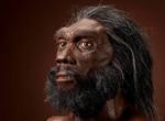 Homo heidelbergensis